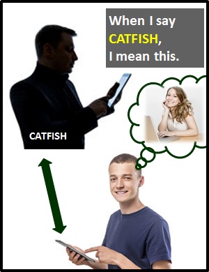 meaning of CATFISH