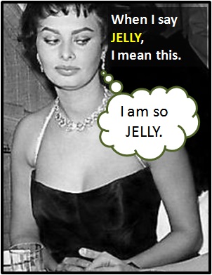 meaning of JELLY