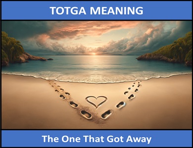 meaning of TOTGA