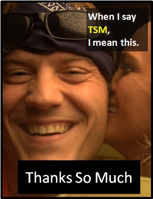 meaning of TSM