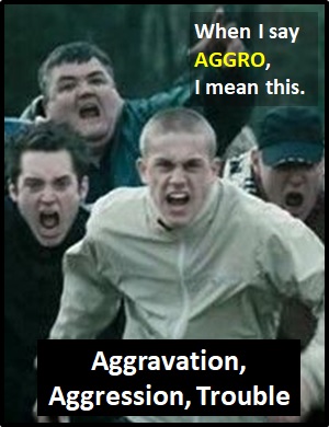 meaning of AGGRO