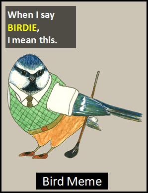 meaning of BIRDIE