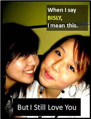 meaning of BISLY