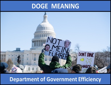meaning of DOGE