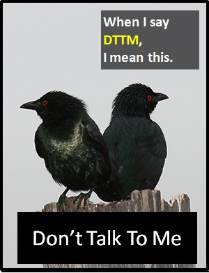 meaning of DTTM