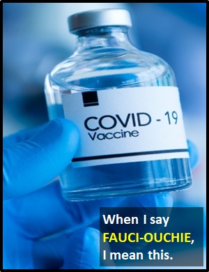 meaning of FAUCI-OUCHIE