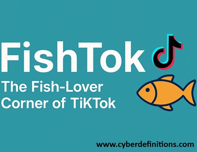 meaning of FishTok