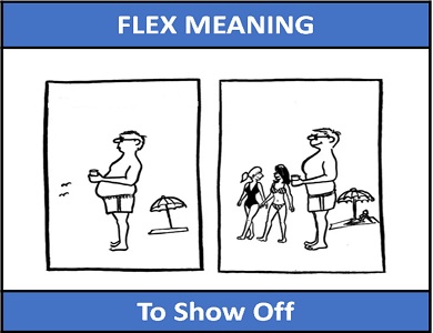 meaning of Flex