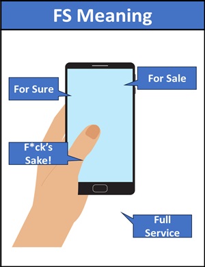 meaning of FS