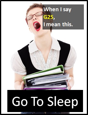 meaning of G2S
