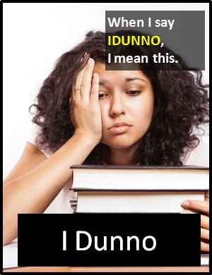 meaning of IDUNNO