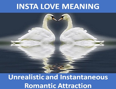 meaning of Insta Love