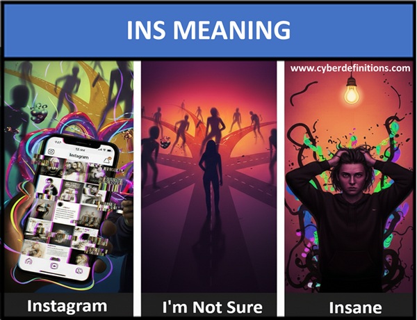 meaning of INS