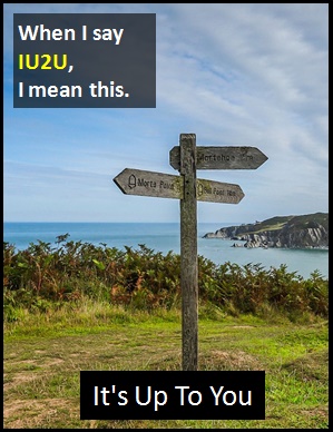 meaning of IU2U