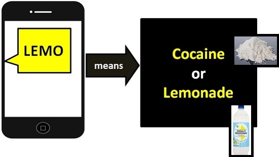 meaning of LEMO