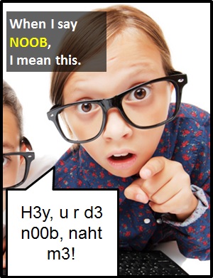 meaning of NOOB
