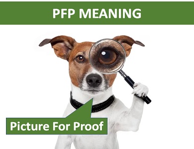 meaning of PFP