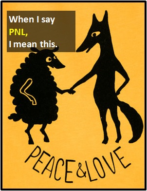 meaning of PNL
