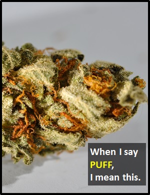 meaning of PUFF