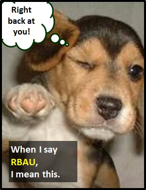 meaning of RBAU