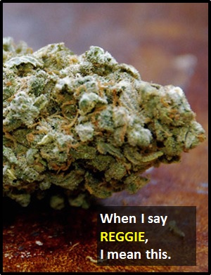 meaning of REGGIE