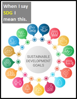 meaning of SDG