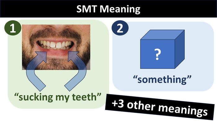 meaning of SMT