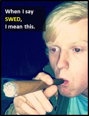 meaning of SWED