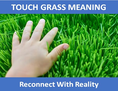 TOUCH GRASS  What Does TOUCH GRASS Mean?