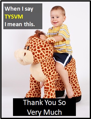 meaning of TYSVM