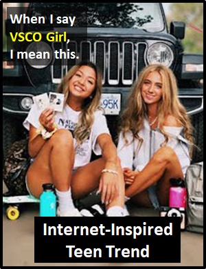 meaning of VSCO Girl