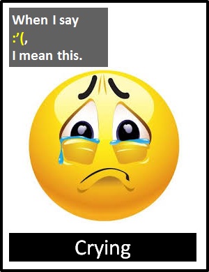 crying icon