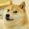 image for DOGE as viral meme, showing the Shiba Inu dog