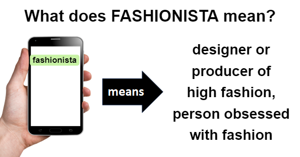 meaning of Fashionista