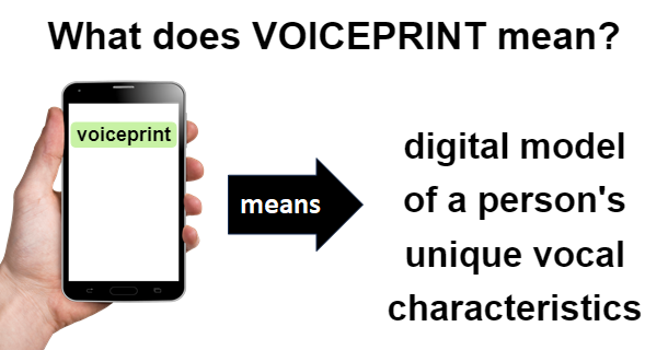 meaning of VOICEPRINT